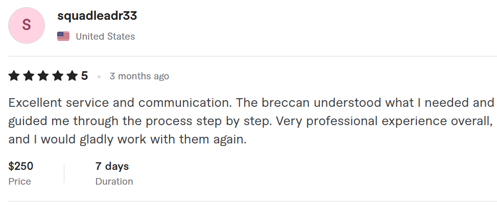 Client review 9 from Breccan Jorvik Company